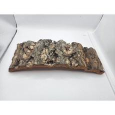 코르크보드 굴피 껍질 크레 등각류 절지류 탈피, 1개, 30cm