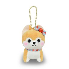 마루타마 콩 시바 3 형제 BC 코우메 703718