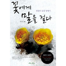 꽃에게 말을 걸다:흰벌의 들꽃 탐행기, 매직하우스, 백승훈 저
