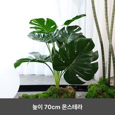 화단 경계엣지 화단분리대 경계 정원 마감재 높이 가든, 70cm 리얼리스틱 거북이 등나무, 1L, 1개