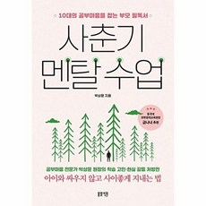 사춘기 멘탈 수업: 10대의 공부마음을 잡는 부모 필독서, 박상윤, 봄빛서원