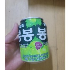 해태음료 포도봉봉, 238ml, 22개