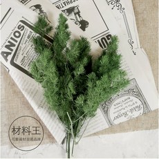 永生壽松染色蓬萊松聖誕松聖誕圈材料組：打造獨特風格的節慶裝飾, 深綠色, 1個