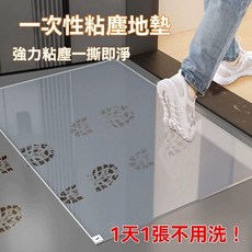 無塵室黏塵墊 腳踏黏墊 除塵墊 黏塵腳踏墊, 1個