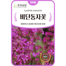 [주주씨앗] 비단동자꽃 씨앗 100립 / 화려하고 섬세한 다년생 꽃씨 씨앗몰, 1개