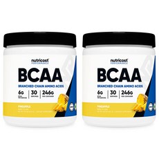 뉴트리코스트 BCAA 파인애플 맛, 240g, 2개