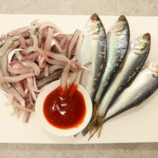 서천 전어 가을전어 자연산 전어 구이용 1kg 전어회 260g내외, 푸띠 서천 전어 회, 1개, 300그램내외