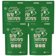 댕이수랏간 침향 기관지청청, 호흡기/기관지, 5개