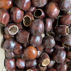 臺灣出貨 印尼果殻風鈴diy黑果材料包自製果殻音手工製作手搖鈴pangjii果殻 0OUT, Pala花豆蔻果10個+送麻繩31米, 1個