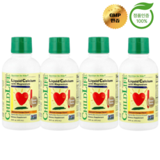 차일드라이프 에센셜 4개X 마그네슘 함유 액상 칼슘 천연 오렌지 맛 474 ml, 474ml, 4개