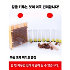 자동이충기 양봉 토봉 기자재 자동 세트 항목 왕대보호, 1개