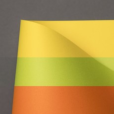 티엠보스 - 이오리 엠보싱 컬러지 116gsm + 109x78cm + 10 매 (멜론껍질패턴) ++ DS, 1팩, 23