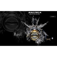 桃東釣具 Daiwa 20年 SALTIGA 大物專用 紡車捲線器, 8000-P(272735)