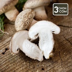 충북 증평에서 자란 무농약 송화고버섯 500g(상품), 1박스, 500g