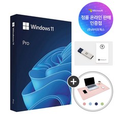 마이크로소프트 Windows 11 Pro FPP 처음사용자용 USB 정품인증키 윈도우11 프로 패키지 + 마우스 장패드, 윈도우11 PRO FPP
