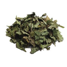 심수약초 국내산 건조 삼백초 300g