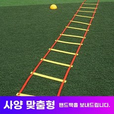 감각통합 용품 연습 스탭래더 축구사다리 순발력훈련 육상 테니스 순발력 2.4m