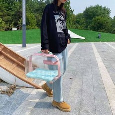 투명 고양이 펫캐리어 이동장 휴대용 반려동물 가방 케이지, 벚꽃 핑크 싱글 상층 매트