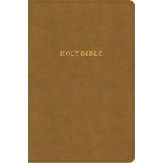(영문도서) KJV Personal Size Giant Print Bible Camel Suedesoft Leathertouch Imitation Leather, Holman Bibles, English, 9798384525325