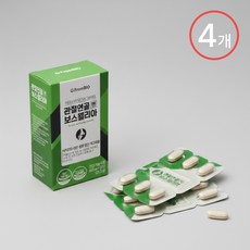 프롬바이오 관절연골 엔 보스웰리아 쇼핑백포함, 30정, 4박스