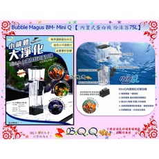 Bubble Magus BM- MiniQ 內置式蛋白除沫器 小體積大淨化