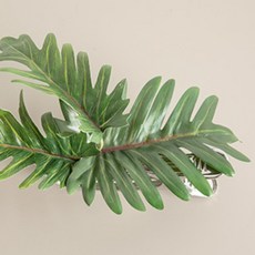 열대잎커튼집게 25cm 조화 인테리어, 셀렘, 6개