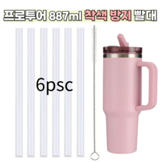 스탠리 퀜처 프로투어 플립스트로 텀블러 887ml 호환 착색방지 빨대 세척솔 세트, 1세트, 6개입
