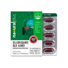 내츄럴플러스 포스파티딜세린 징코 브레인, 60정, 4개
