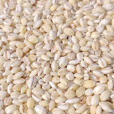 군산 흰찰쌀보리4kg/흰찰보리/찰보리 25년산 햇흰찰보리, 군산 흰찰쌀보리4kg/흰찰보리/찰보리 25년산 햇흰찰보