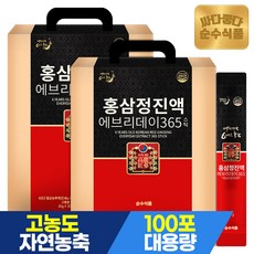 순수식품 홍삼정진액 에브리데이 365 스틱, 1kg, 2개