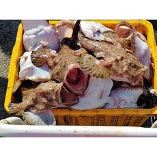 생아귀 반건조 손질아귀, 1개