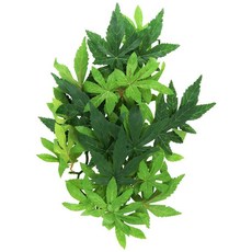 Exo Terra 행잉 레인포레스트 플랜츠 도마뱀 게코 테라리움 덩굴, 미텔