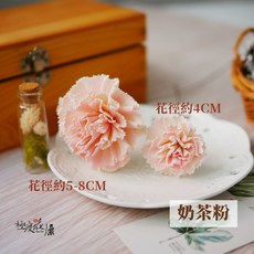 極度花燥 蓪草花 康乃馨 手工花 奶茶粉, 【蓪草康乃馨】奶茶粉,花徑約5-8CM一朵