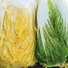 [이조원] 해남 땅끝 절임배추 국내산100% HACCP인증 매주 토요일 도착, 20kg, 1박스, 2000ml