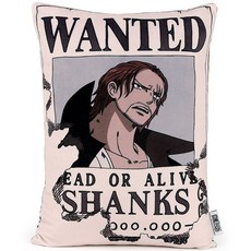 치마 푹신한 원피스 해적 현상금포스터 쿠션 납작프린트 포근한 샹크스 54299PC 1(pc)