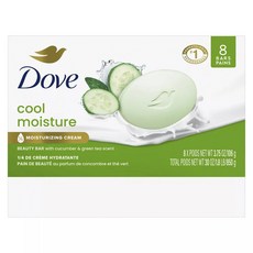 도브 쿨 모이스처 뷰티 바 큐컴버 & 그린 티향 8개입, 850g, 1개입