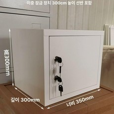 미니 서류 캐비넷 철제 관물함 락커 2단 사무용 행정실, 선반 포함 300x350x300 2단