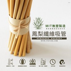 環保無毒6mm 單支包裝 鳳梨葉纖維吸管 - MIT無塑製造 生物可降解 農廢回收再利用, 500個, 1套
