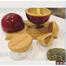 【喜奈而】咖啡豆模型 咖啡教學模型 咖啡館裝飾 咖啡豆解說展示 擺攤裝飾, 仿真咖啡豆-教學用模型