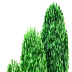 에이 인조잔디, 중