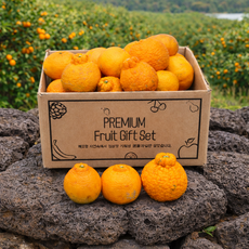 세상모든농부 제주 노지 한라봉 못난이, 노지 한라봉 10kg 못난이, 1박스