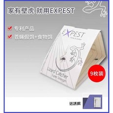EXPEST 壁虎屋 捕壁虎器 9片裝 雙重引誘 室內戶外適用, EXPEST Home & Garden