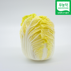 무농약 알배추 배추 쌈배추 알배기배추 통배추 산지직송 당일수확, 600g, 12개