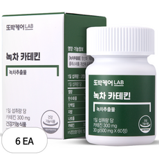 또박케어LAB 녹차 카테킨 30g, 60정, 6개