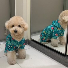 까니쉬 강아지우비 트로피칼 레인코트, 1개