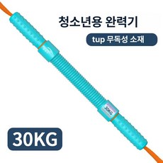 팔 손 운동기구 남성용 악력기 상체 근력 훈련 일자형, 1개, 씨폼그린 30KG 슈퍼번 PRO