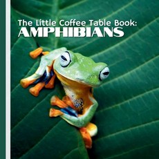 (英文圖書)The Little Coffee Table Book: Amphibians: 75 fascinating facts and a collection... 平裝版, Independently Published, 英文