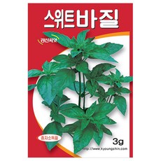 세인화분 스위트 바질 3g - 씨 씨앗 허브씨 허브씨앗, 1개