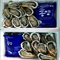 손질하여 발송 하는 통영 하프쉘 20-30마리, 1개, 하프쉘30미