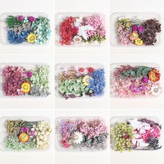 화연양화 랜덤 세트 꽃모음 프리저브드 드라이플라워 DIY재료, 랜덤믹스